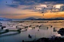 沙河伴游中国网景点丰富(旅游网介绍)