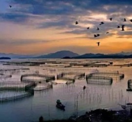 沙河伴游中国网景点丰富(旅游网介绍)