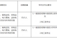 沙河重庆有雇用伴游外围吗(高端外围伴游雇用一单一结)