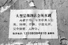 沙河珠海伴游雇用网(珠海游览社雇用信息)