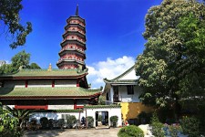 沙河广州自由行(广州 自由行)