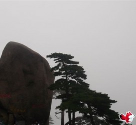 沙河上海伴游私家陪游雇用女模(上海伴游私家陪游雇用女模特)