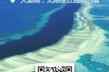沙河中国250家旅行社结伴游新西兰(新西兰当地旅行社)
