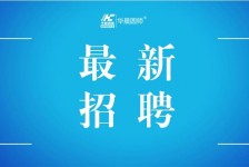 沙河镇江伴游雇用驾驶员(镇江驾驶员雇用苍生网)