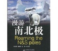 沙河游记攻略(ps西游记攻略)