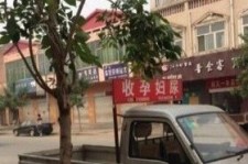 沙河上海伴游 用伴游造句大全(5
