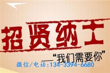 沙河酒店雇用伴游(酒店雇用伴游办事员)