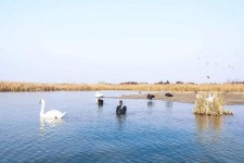 沙河南昌附近伴游小妹兼职(1534939978姐的微信德惠市)