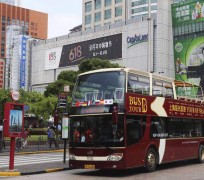 沙河上海私人伴游 上海过年怎么玩？这些“微游”线路了解下→