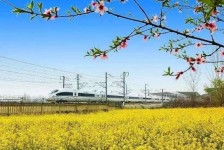 沙河高铁游(高铁游戏下载手机版)