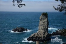 沙河旅游全攻略(上海旅游全攻略)