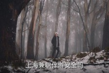 沙河上海私人伴游 上海伴游，上海兼职伴游安全吗