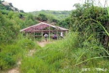 沙河北海伴游兼职雇用信息(北海伴游兼职雇用信息大全)