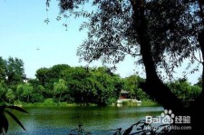 沙河西湖旅游攻略(上海到杭州西湖旅游攻略)