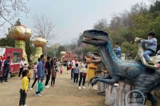 沙河中国伴游带你打卡网红南山竹海(南山竹海网上预约)