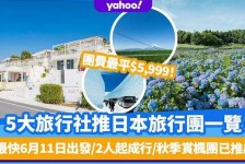 沙河旅游价格(旅游价格机制)