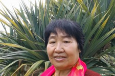 沙河白叟带老伴游半个中国(白叟外出旅游)