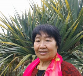 沙河白叟带老伴游半个中国(白叟外出旅游)