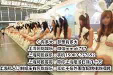 沙河雇用旅游男伴游(北京商务酒店雇用伴游)