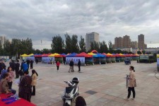 沙河通辽伴游雇用(哈尔滨伴游雇用)