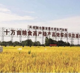 沙河关于成都商务伴游外围雇用的信息