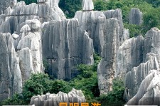 沙河贵阳市游览社英语伴游雇用(贵阳市前十名游览社是哪几家)