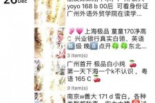沙河外围伴游雇用圈套(雇用伴游什么样子的是实的)