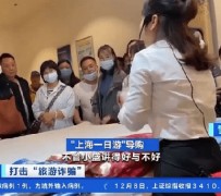 沙河上海私人伴游 看·法｜100元游上海？！“旅社”涉嫌诈骗被一窝端
