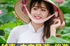 沙河日本关东伴游中国(日本关西旅行)