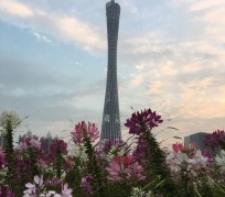 沙河广州旅游攻略(杭州到广州旅游攻略)
