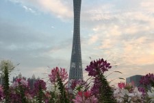 沙河广州旅游攻略(杭州到广州旅游攻略)