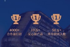 沙河上海私人伴游 ​ “小而美”的新时代：2020年国内新跟团消费报告