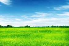 沙河上海伴游 上海模特伴游微信号的交友宣言