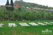 沙河昆明旅游攻略(昆明旅游攻略景点大全抚仙湖)