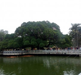 沙河福州旅游攻略(福州旅游攻略二日游)