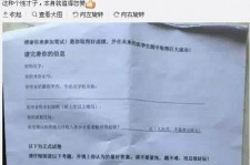 沙河私家助理伴游雇用90万月薪(私家助理伴游雇用90万月薪是实的吗)
