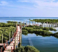 沙河旅游哪里好玩(云南旅游哪里好玩)
