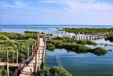 沙河旅游哪里好玩(云南旅游哪里好玩)