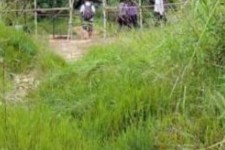 沙河苍溪学生做伴游兼职(苍溪学生做伴游兼职怎么样)