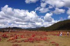 沙河旅游去处(暑期最好的旅游去处)