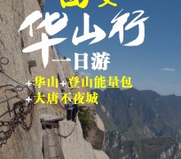 沙河一日游(一日游需要准备些什么东西?)